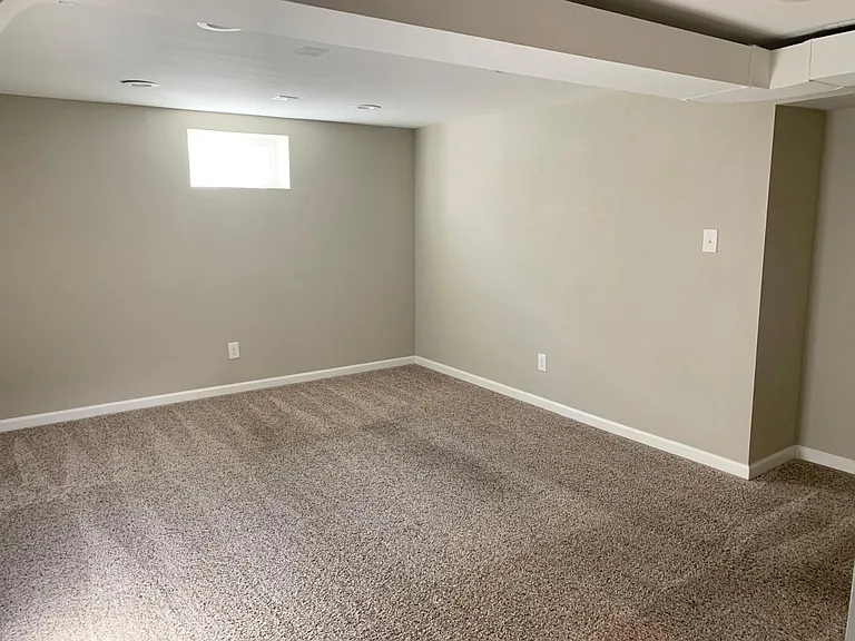 Basement Living Room