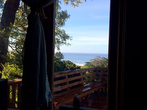 View from the kitchen