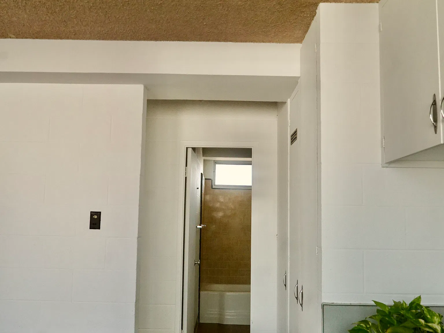 1 bed, 425 sqft, $1,300 — Photo 2