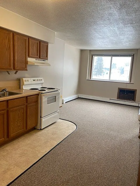 1 bed, $650 — Photo 2
