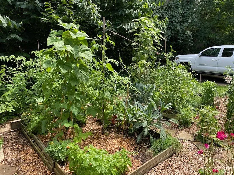 Garden in back