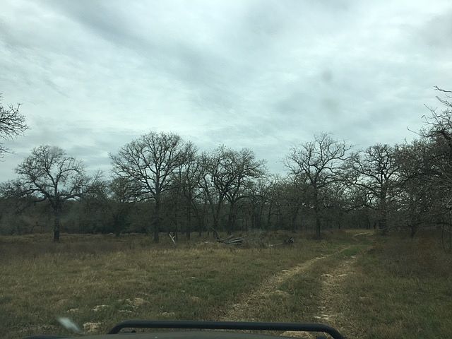 1st image of Tbd Fm #775
