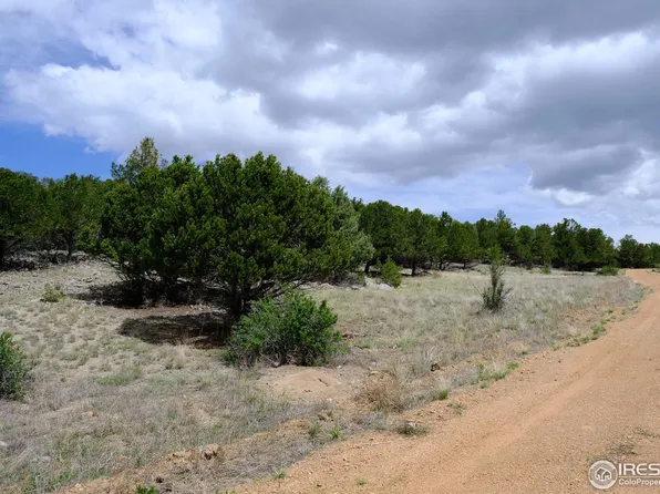 515 Sunset Trl, Cotopaxi, CO 81223