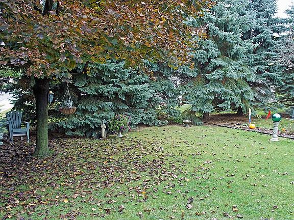 Private yard!