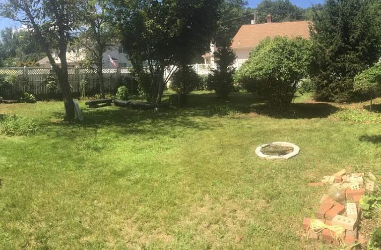 Back yard.