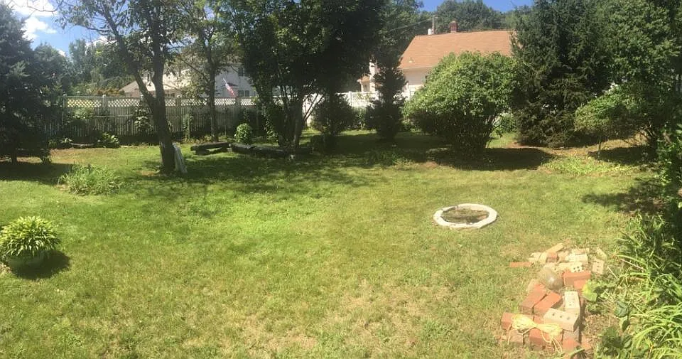 Back yard.