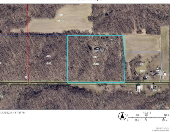 17238 Vfw Rd, Staunton, IL 62088