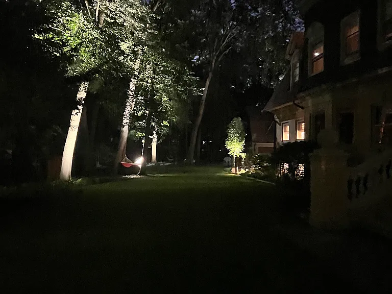 Tree lighting has been installed for its visual beautification as well as security