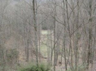 4587 W Blue Grass Trl, Ceres, VA 24318