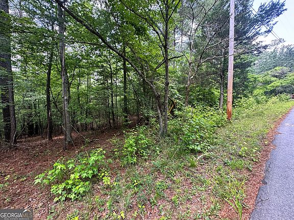 5th image of 8017 Longleaf Dr