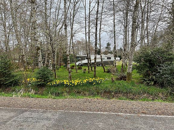 3rd image of 24900 Birch Pl