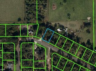 1519 Spring Ln, Lake Placid, FL 33852