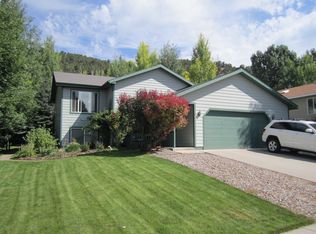 164 Goose Ln, El Jebel, CO 81623