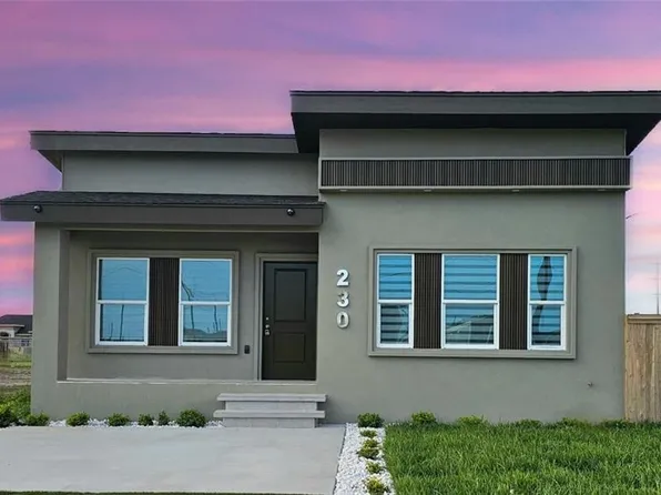 230 Euforia Ave, Donna, TX 78537