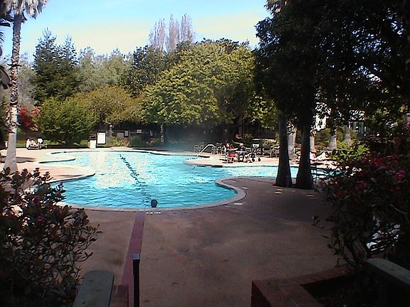 3rd image of 2330 Shelter Creek Ln