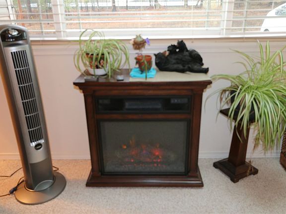 3rd image of 140 Laurelhurst Dr
