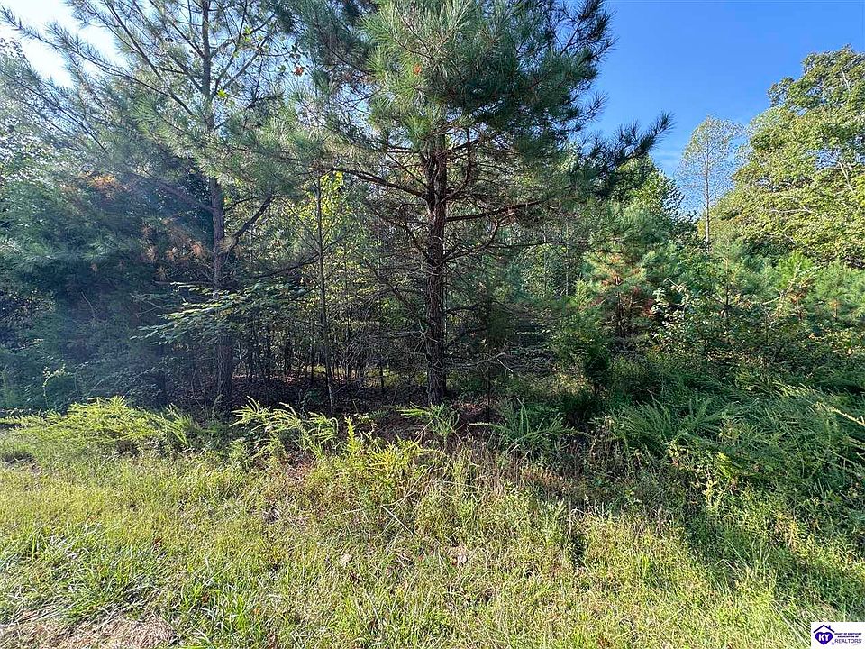 2nd image of 0 Dewitt Rd