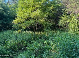 Dry Fork Rd, Del Rio, TN 37727