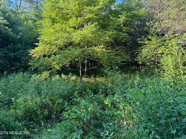 Dry Fork Rd, Del Rio, TN 37727