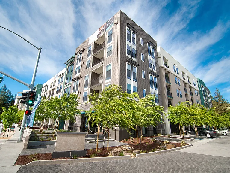 Cadence Apartments — Photo 19