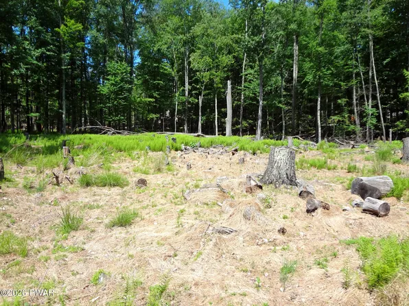 10 & 11DR S Briar Hill Rd W, Lakeville, PA 18438