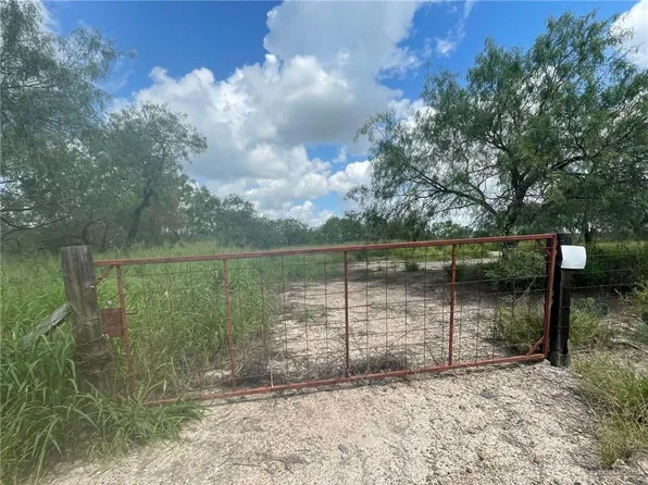 1124 Crispin Villareal Rd, Mission, TX 78572