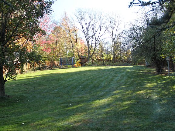 Back Yard #1