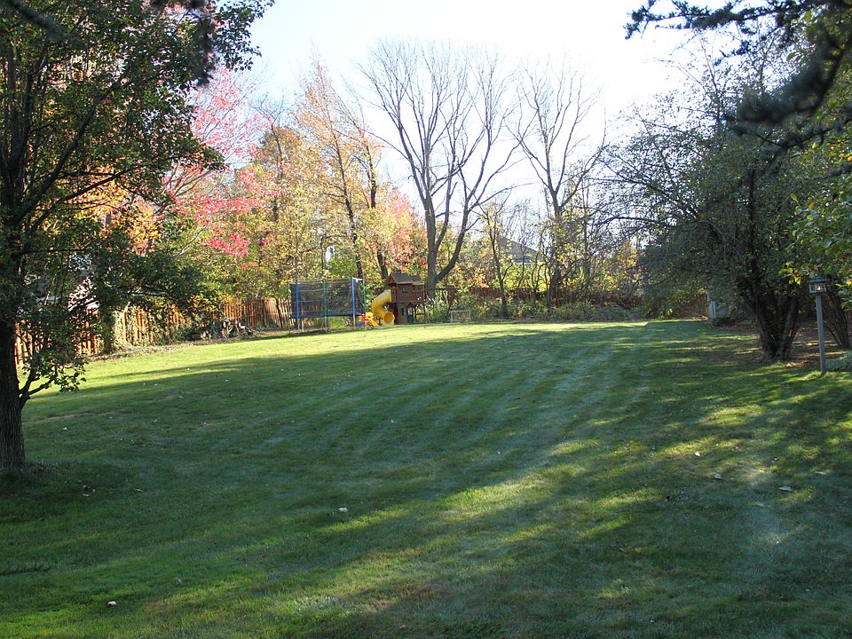 Back Yard #1
