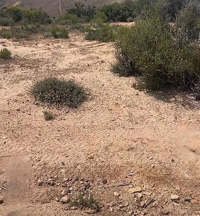 1st image of 1 McConneny Rd