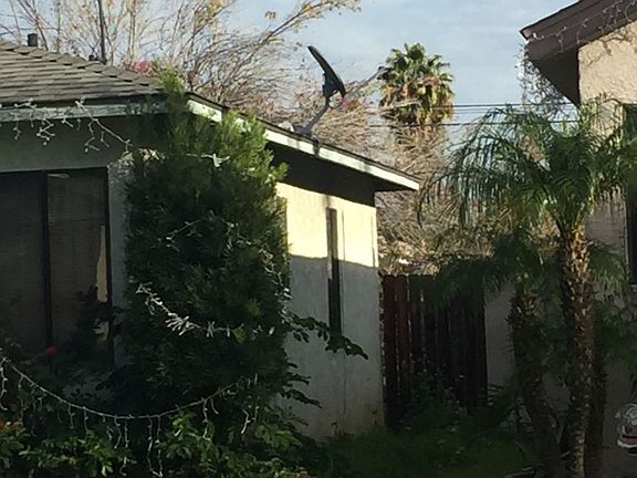 3rd image of 644 N Victoria Ave