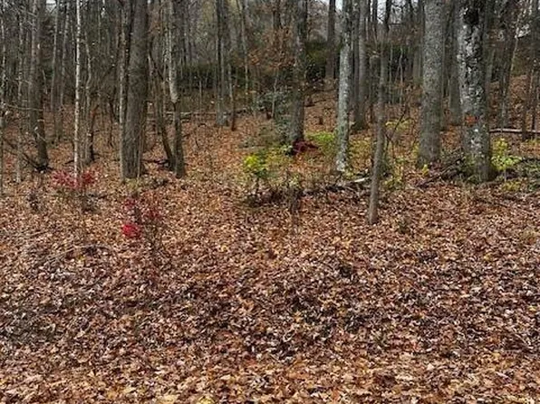 309 Nottingham Rd, Maggie Valley, NC 28751
