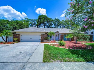 3319 Cheviot Dr, Tampa, FL, 33618