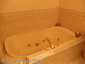 Master Bath w/whirlpool tub
