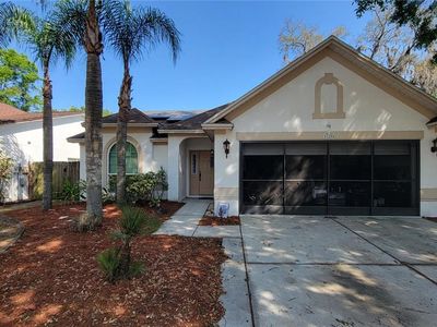 1204 Tiger Wood Ct, Valrico, FL, 33596