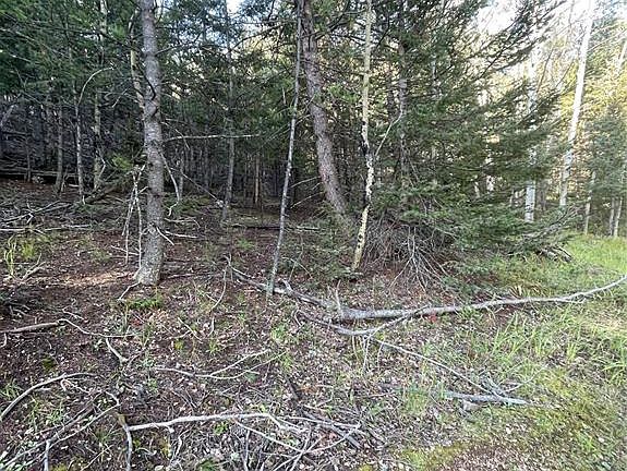 3rd image of 48 Kalispel Ln