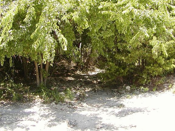 Creekbed on the east side of the road.  Pretty dry