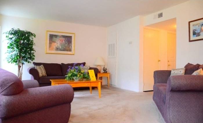 Spacious Living Room