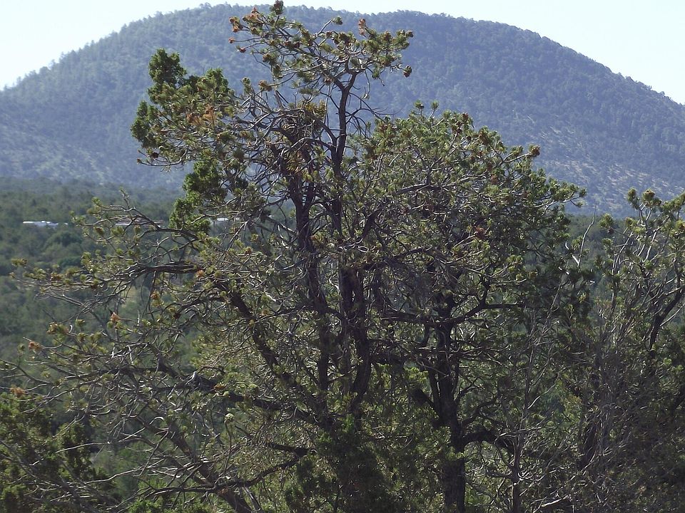 1st image of 907 E Hualpai Trl #159