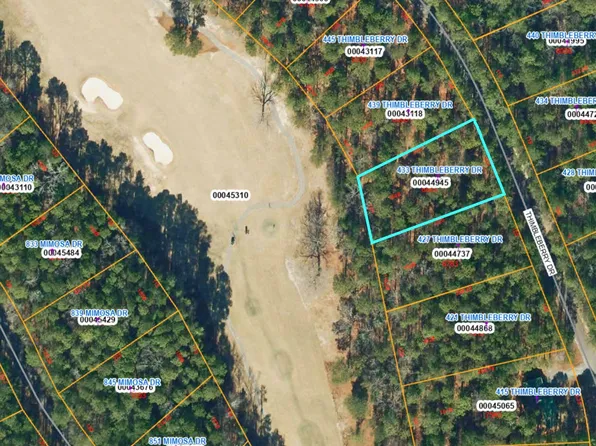 433 Thimbleberry Drive, Vass, NC 28394