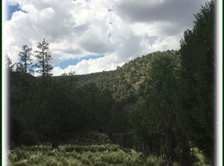 1036 National Livestock Rd, Carlsbad, NM 88220