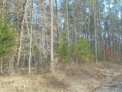 0 Easy Run Rd, Danville, VA, 24540