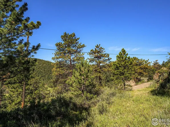 601 Pine Tree Dr, Estes Park, CO 80517