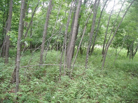 3rd image of Lot 12 4th Addition, Margaret Lane