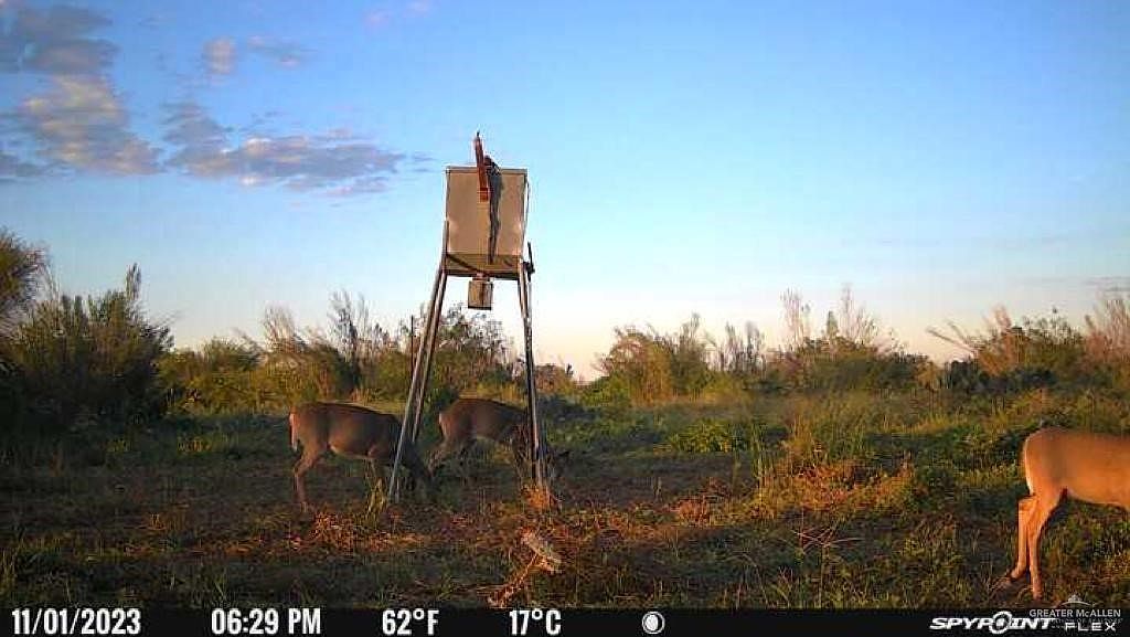 E Fm 1418, Falfurrias, TX 78355 MLS 437916 Zillow