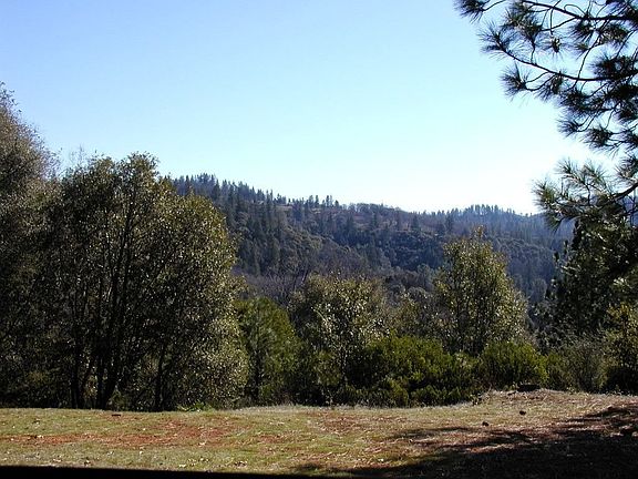 View from Dining room
