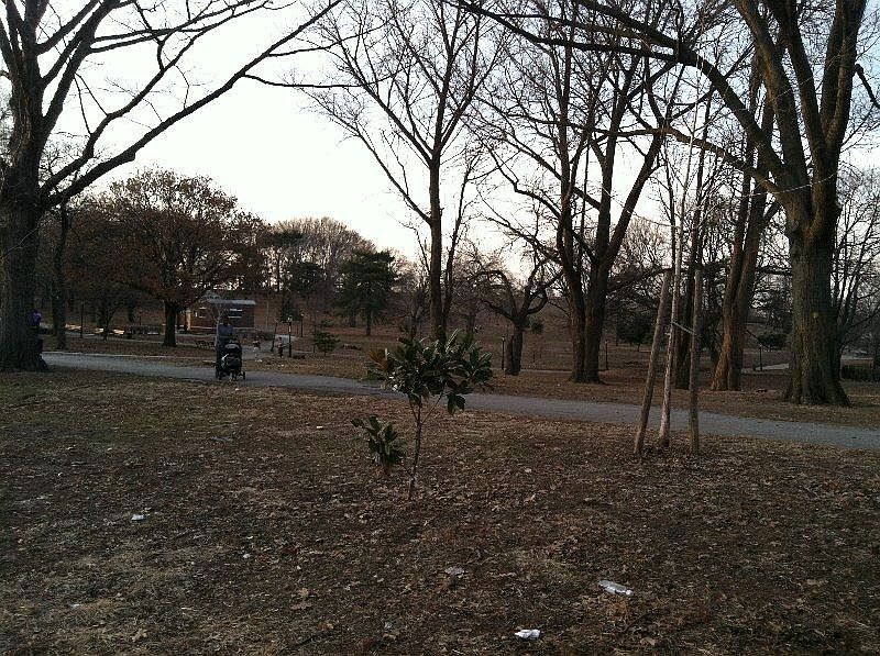 2nd image of 145 70th St