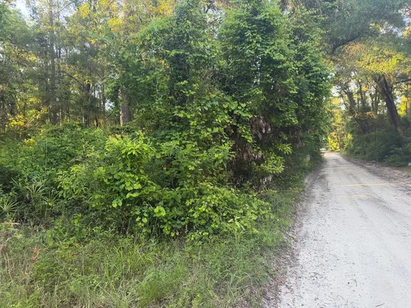 00 SW 82nd Ct, Fanning Springs, FL 32693