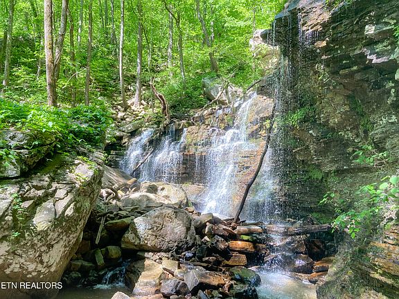 4th image of Rockfort Rd