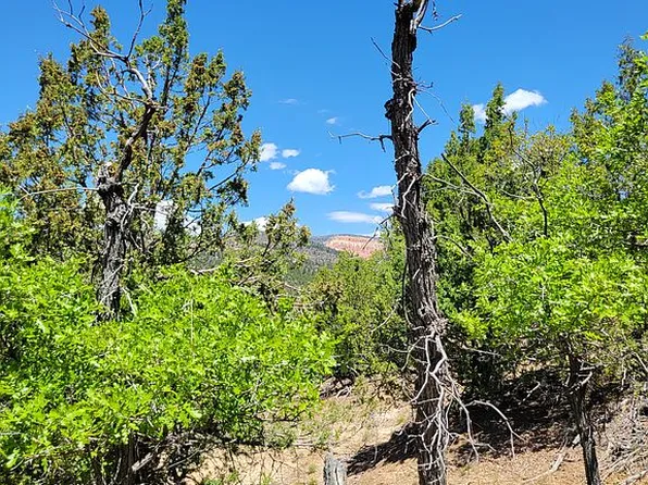 0 Rio Grande Rd, Duck Creek Village, UT 84762