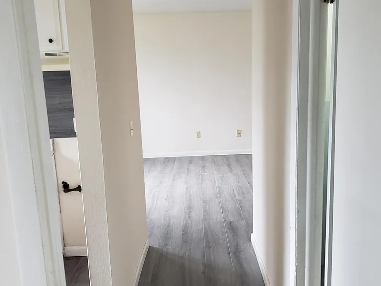 449 Canisteo St #102 — Photo 5